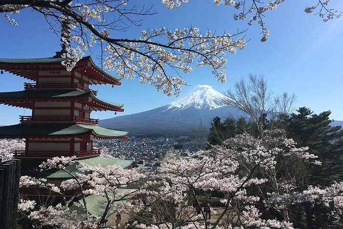 Private Car Tour to Mt. Fuji Lake Kawaguchiko or Hakone - Oshino Hakkai and the “Fuji water” story