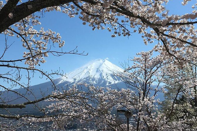 Private Car Tour to Mt. Fuji Lake Kawaguchiko or Hakone - Aokigahara caves: short walks, big atmosphere