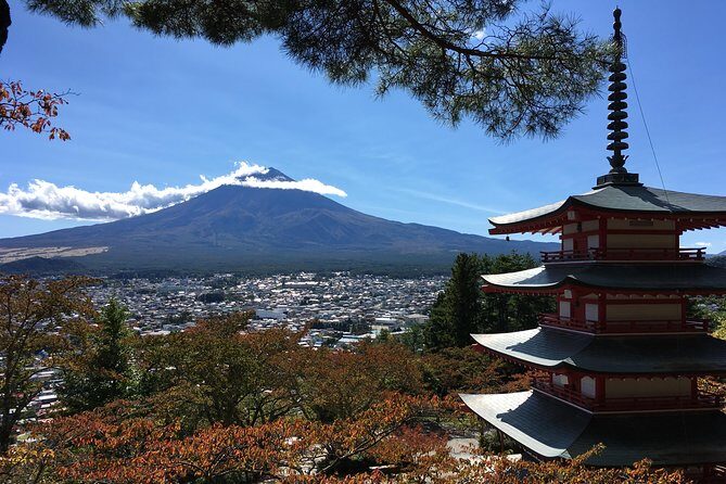 Private Car Tour to Mt. Fuji Lake Kawaguchiko or Hakone - Seasonal add-ons: when Yamanashi becomes the real attraction