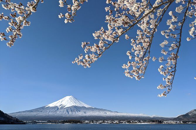 Private Car Tour to Mt. Fuji Lake Kawaguchiko or Hakone - Fuji vs Hakone: choose the vibe, not just the landmarks