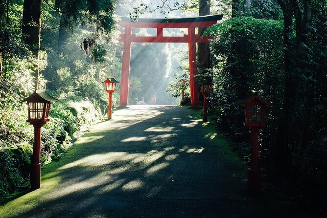 Private Fuji Hakone Tour Charter with English Speaking Driver - Why this private Fuji-Hakone day beats DIY for most people