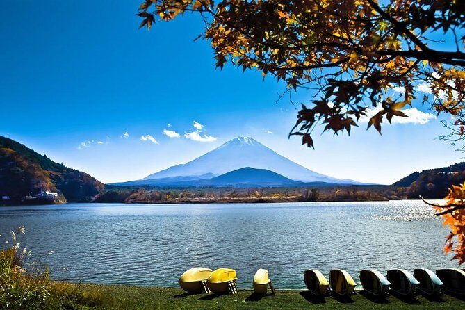 Private Fuji Hakone Tour Charter with English Speaking Driver - Hakone Jinja torii gate: the first “wow” stop