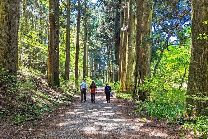 Private Hakone Tour - View of Mt. Fuji, Nature and Culture - Private Hakone Day Trip: What Makes It Feel Different
