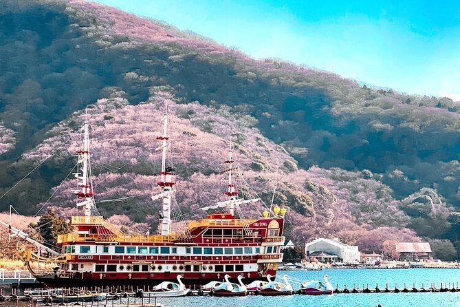 Private Hakone Tour - View of Mt. Fuji, Nature and Culture - From Owakudani to Gora: The Mountain Transit Portion You Shouldn’t Skip