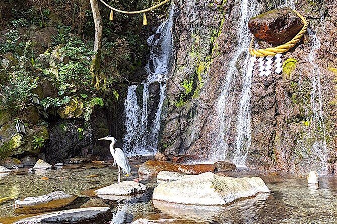 Private Hakone Tour - View of Mt. Fuji, Nature and Culture - The Walking Reality: How to Pack and Pace for This 11-Hour Plan