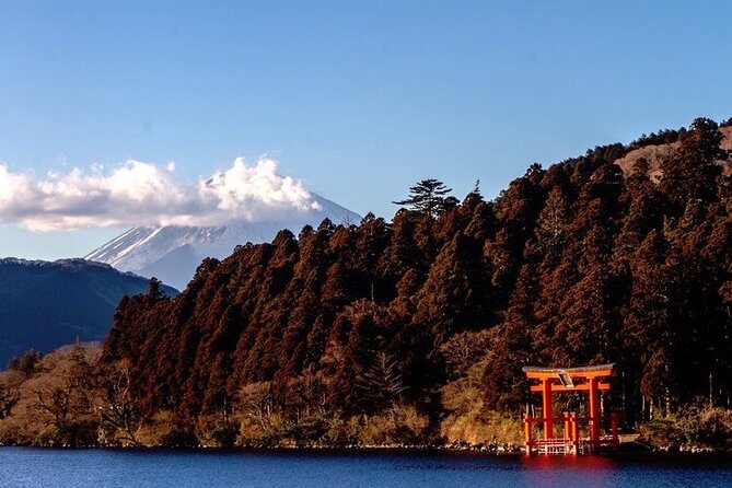 Private Hakone Tour - View of Mt. Fuji, Nature and Culture - Meet-Up Timing and Getting to the Train Without Headaches