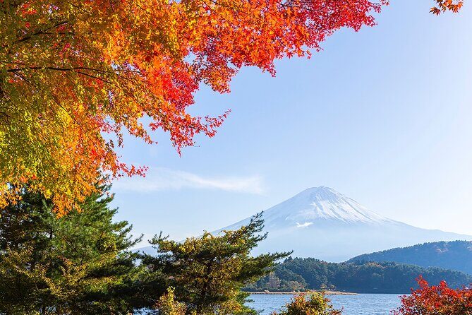 Private Mount Fuji and Hakone City Tour In luxury car from Tokyo - Private luxury pickup: the easiest way to start a Mt. Fuji day from Tokyo
