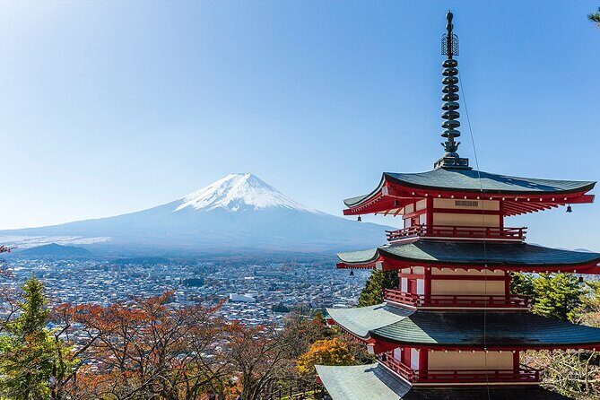 Private Mount Fuji and Hakone City Tour In luxury car from Tokyo - Stop 4: Fuji Safari Park (about 1 hour 20 minutes of animal time)