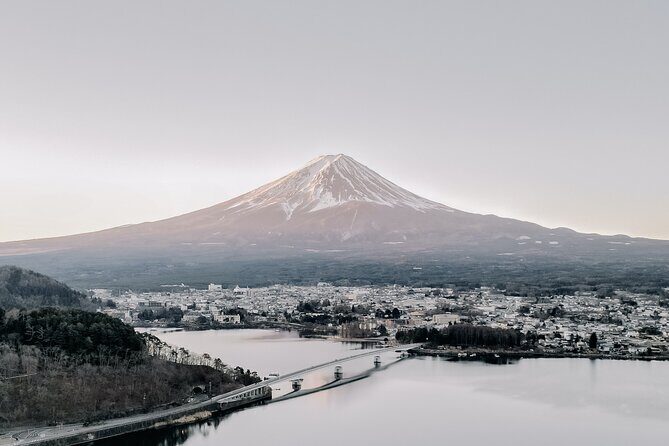 Private Mt Fuji, Hakone and Tokyo Tour - English Speaking Driver - A 10-hour private loop that makes Fuji day trips doable