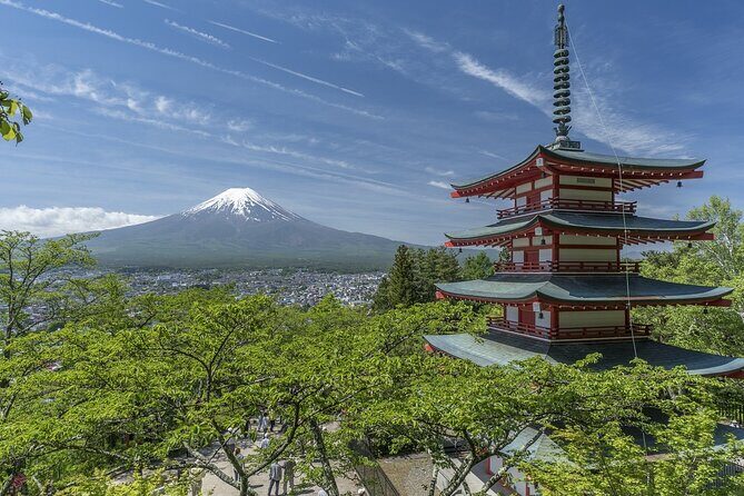 Private Mt Fuji, Hakone and Tokyo Tour - English Speaking Driver - Mt Fuji Panoramic Ropeway and the 5th Station target