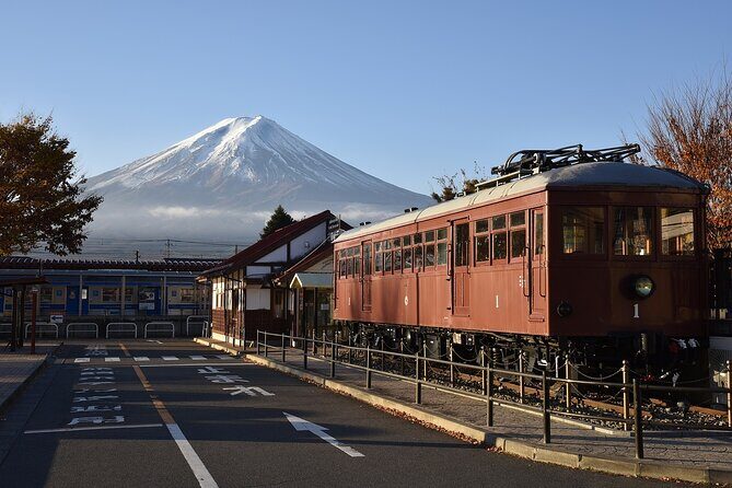 Private Mt Fuji, Hakone and Tokyo Tour - English Speaking Driver - Gotemba Premium Outlets: shopping time that still fits the route