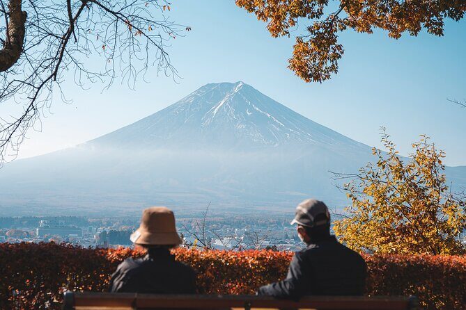 Private Mt Fuji, Hakone and Tokyo Tour - English Speaking Driver - Pickup, Shinjuku start time, and how the day really feels