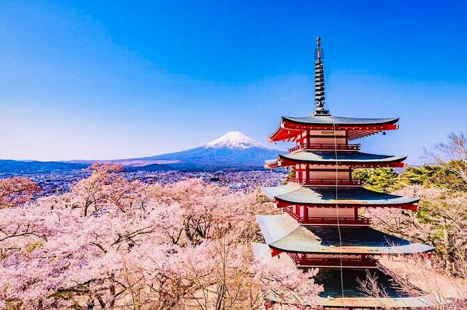 Private Sightseeing to Mt Fuji and Hakone with English Driver - Key Highlights You’ll Feel Immediately