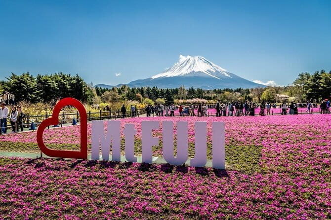 Private Sightseeing to Mt Fuji and Hakone with English Driver - Lake Kawaguchiko: Ropeway Views and Hot-Spring Downtime