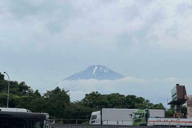 Private tour - Scenic Fuji Escape: Hakone, Peace Park & More - Stop 4: Kitaguchi Hongu Fuji Sengen Jinja—A UNESCO Site Through Giant Cedar Trees