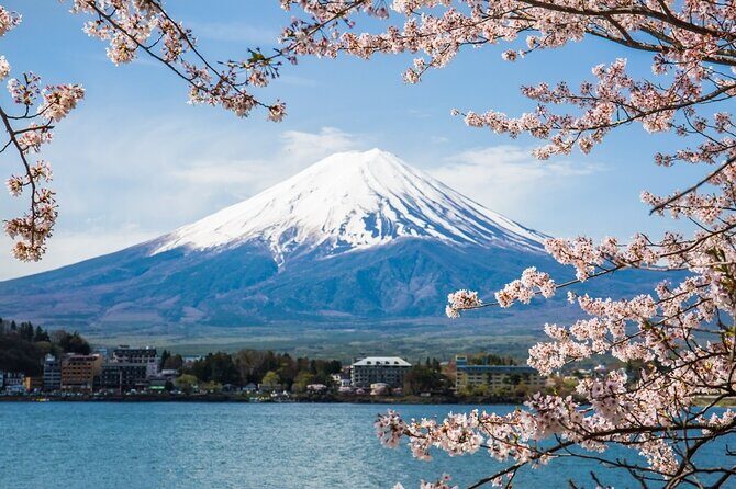 Private tour to Mount Fuji and Hakone from Tokyo - Quick hits before you go