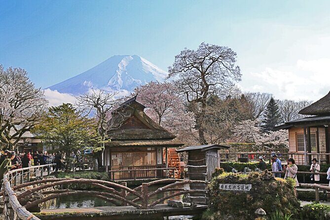 Private tour to Mount Fuji and Hakone from Tokyo - Your real decision: Fuji-first (6 stops) or Hakone-last (5 stops)