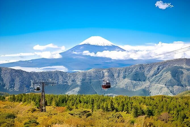 Private Tour to Mount Fuji & Hakone with Gotemba Outlets English - Key things to know before you go