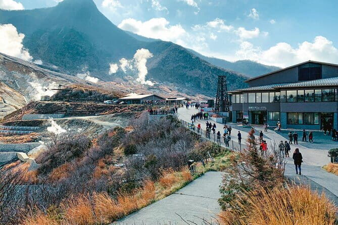 Private Tour to Mount Fuji & Hakone with Gotemba Outlets English - Price and logistics: what $425 really buys