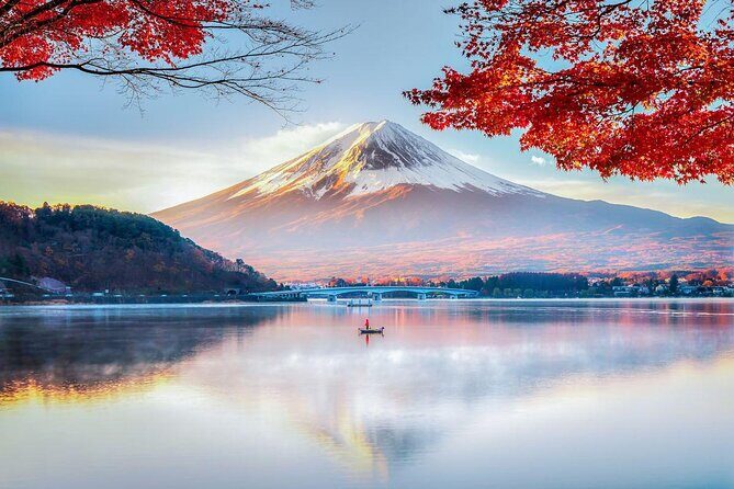 Private Tour to Mt. Fuji and Hakone (Fully Licenced Operator) - Key Highlights to Know Before You Go