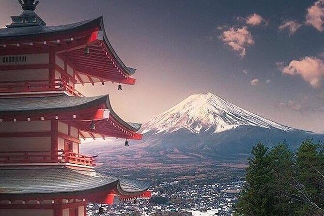 Private Tour to Mt. Fuji and Hakone (Fully Licenced Operator) - Mount Fuji Stops That Matter: 5th Station, Kawaguchiko Views, and Oshino Hakkai