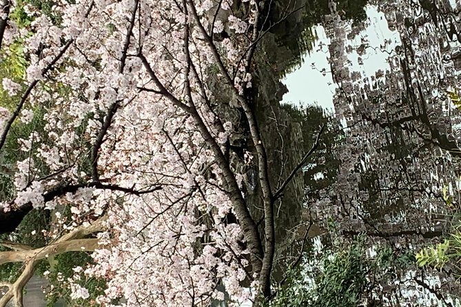 Private Tour to Mt. Fuji and Hakone (Fully Licenced Operator) - Hakone-Style Highlights: Lake Ashi, Pirate Cruise, and Owakudani