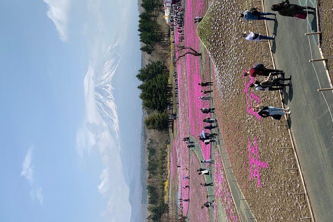 Private Tour to Mt. Fuji and Hakone (Fully Licenced Operator) - Tickets, Timing, and Weather: The Stuff That Makes or Breaks Fuji Days