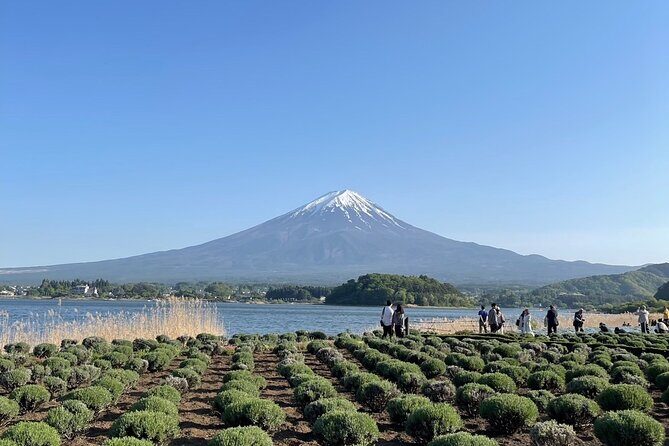 Private Tour to Mt Fuji and Hakone with English Speaking Driver - Tokyo pickup, express highway travel, and what a 10-hour day really feels like