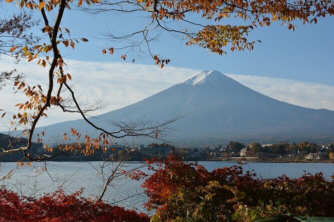 Private Tour to Mt Fuji and Hakone with English Speaking Driver - Owakudani volcanic realm: sulfur air, steaming views, and black egg luck