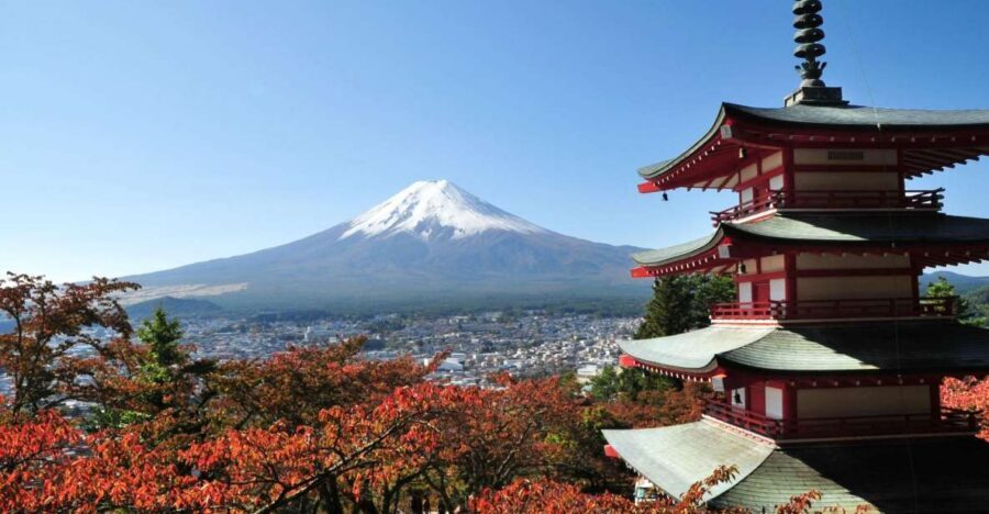 Sightseeing Day Trip to Mount Fuji and Hakone Green Number - Key things that make this day trip worth your time