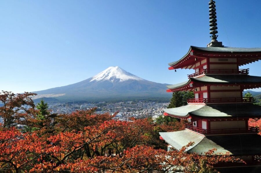 Sightseeing Day Trip to Mount Fuji and Hakone Green Number - Private roundtrip from Tokyo: the time math works