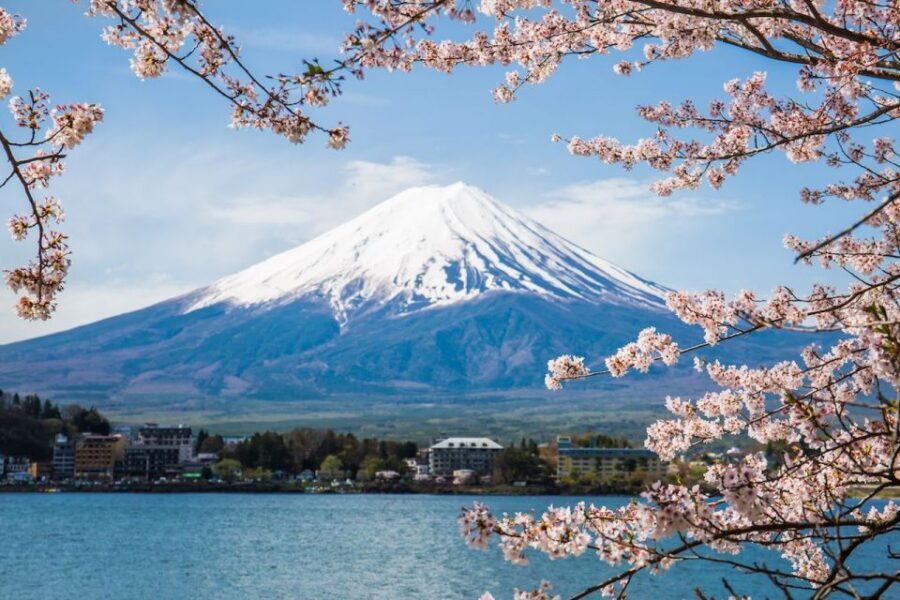 Sightseeing Day Trip to Mount Fuji and Hakone Green Number - Ropeways and Wakudani in Hakone: views with minimal strain
