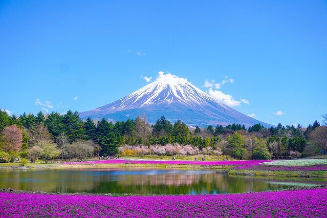Tokyo: Customized Mt. Fuji & Hakone Sightseeing Private Day Trip - Key things that make this Mt. Fuji & Hakone private day trip work