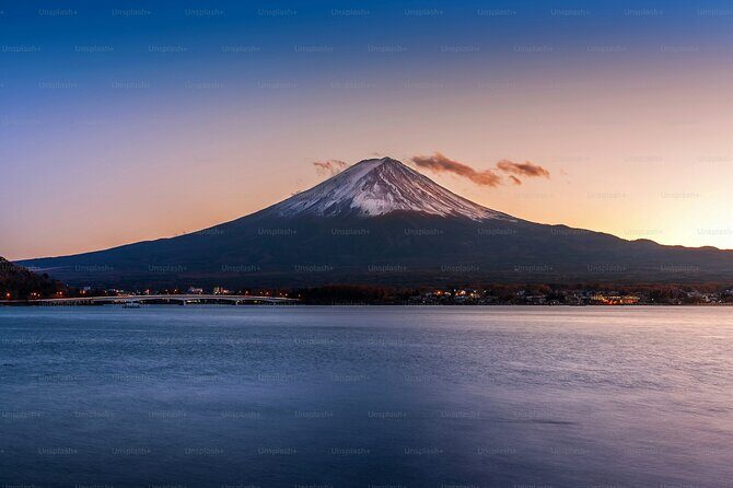 Tokyo: Customized Mt. Fuji & Hakone Sightseeing Private Day Trip - Private car comfort from Tokyo: why this format is worth it