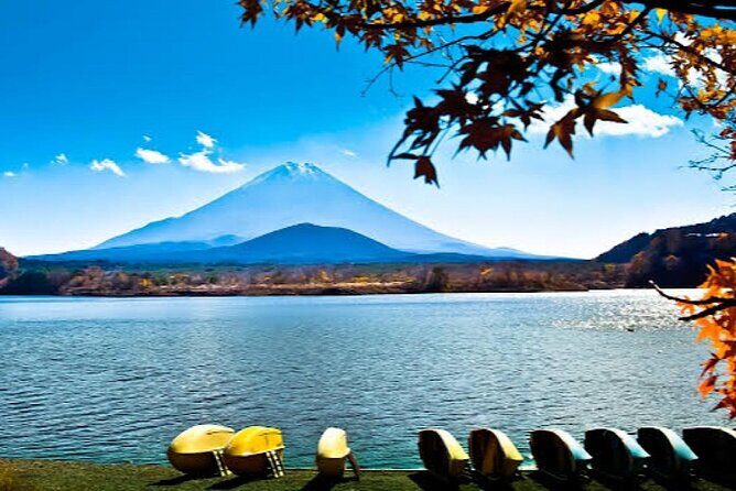 Tokyo: Customized Mt. Fuji & Hakone Sightseeing Private Day Trip - The customizable route: how to pick what gets your time