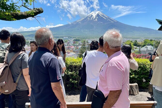 Tokyo: Customized Mt. Fuji & Hakone Sightseeing Private Day Trip - Stop 1: Chureito Pagoda for Mt. Fuji-style photos without the chaos