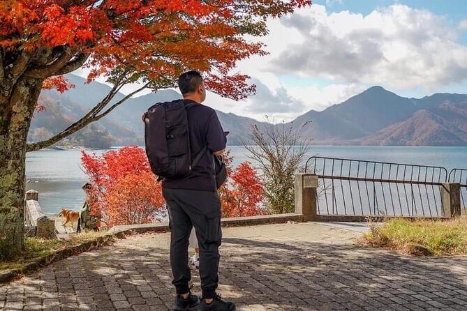 Tokyo: Customized Mt. Fuji & Hakone Sightseeing Private Day Trip - Stop 2: Oshino Hakkai ponds and the calm old-Japan walk
