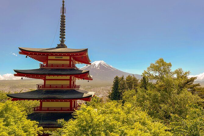 Tokyo: Customized Mt. Fuji & Hakone Sightseeing Private Day Trip - Stop 4: Mt. Fuji Subaru Line 5th Station and the cost you should budget