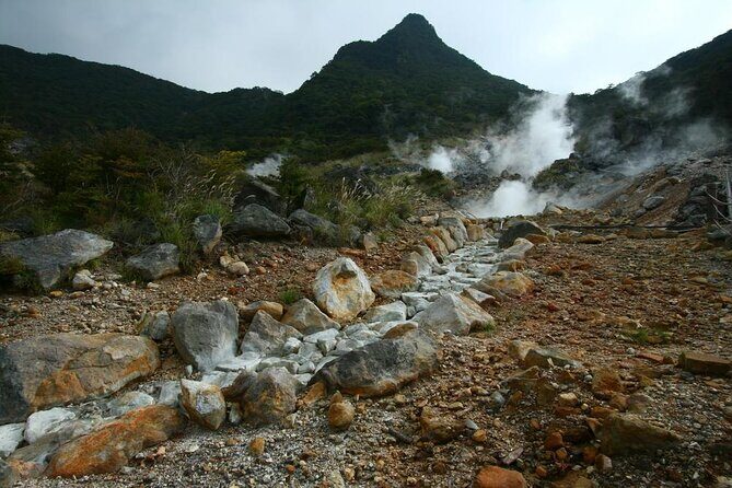 Tokyo Hakone : Mt.Fuji, Owakudani, Open Air Museum, Hakone Shrine - Key highlights to notice before you go