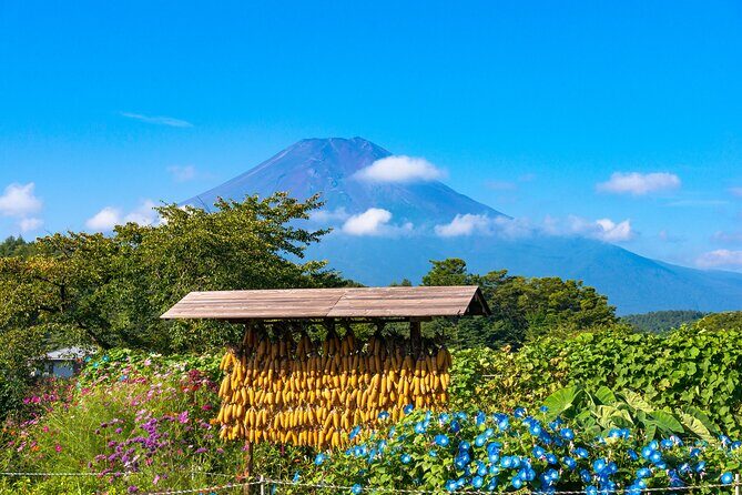 Tokyo Hakone : Mt.Fuji, Owakudani, Open Air Museum, Hakone Shrine - Tour Staff, Group Energy, and Why It Matters