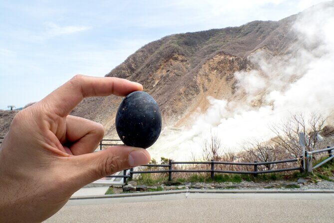 Tokyo Hakone : Mt.Fuji, Owakudani, Open Air Museum, Hakone Shrine - Owakudani Volcanic Valley: Steam, Sulfur, and Kuro-Tamago