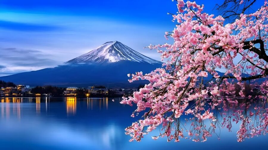 Tokyo: Mount Fuji and Hakone private sightseeing tour - Key things that make this tour work