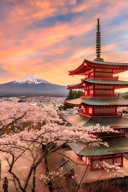 Tokyo: Mount Fuji and Hakone private sightseeing tour - Oshino Hakkai: traditional ponds, spring-fed charm, and quick tastes