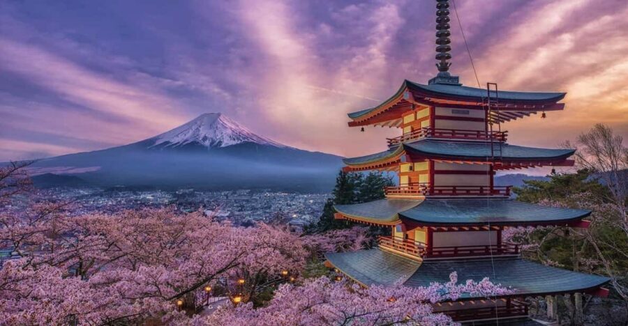 Tokyo: Mount Fuji & Hakone Private Tour with Guide - Key Things I’d Bank On