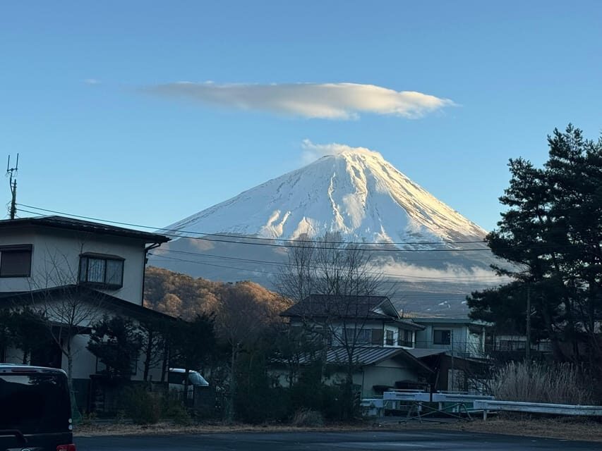 Tokyo: Mount Fuji & Hakone Private Tour with Guide - Lake Ashi by Cruise: The View You’ll Remember Most