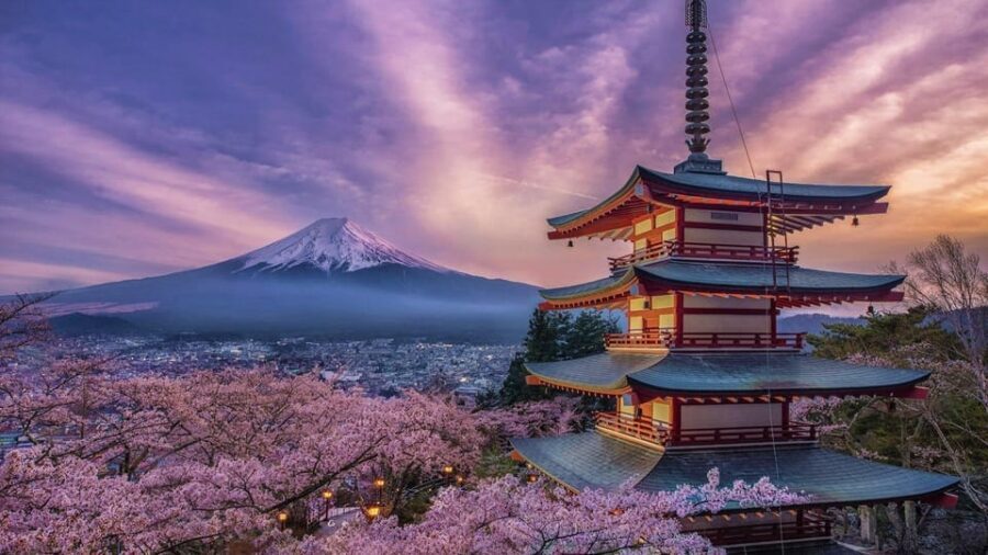 Tokyo: Mount Fuji & Hakone Private Tour with Guide - Subaru 5th Station (2,300m): The Moment Fuji Either Shows Up or Doesn’t