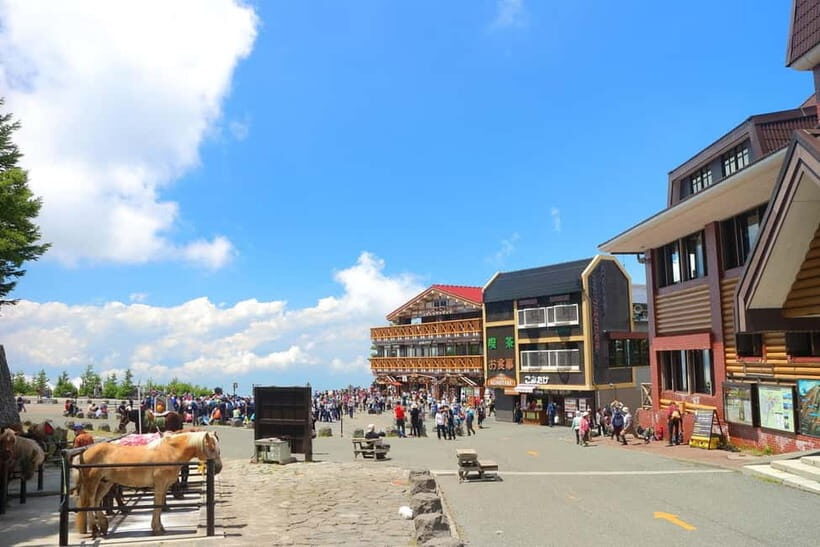 Tokyo: Mt. Fuji 5th St, Gotemba & Hakone by Luxury Bus - Mount Fuji Fifth Station timing: great photos, tight schedules, and cloud logic
