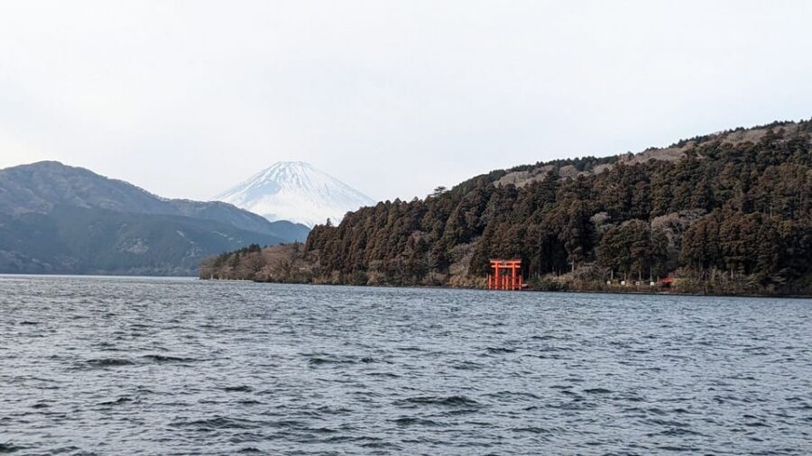 Tokyo: Mt. Fuji and Hakone Tour with Cable Car and Cruise - Wheelchairs and Getting Around: Straight Talk Before You Book