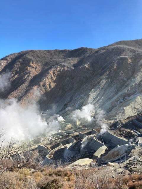 Tokyo: Mt. Fuji and Hakone Tour with Cable Car and Cruise - Price and Value: Why $92 Can Be a Good Deal