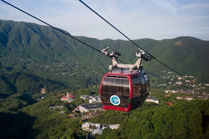 Tokyo Mt. Fuji Hakone Shrine, Owakudani, Lake Yamanakai Day Tour - Price and what your $76.96 covers (and what it doesn’t)